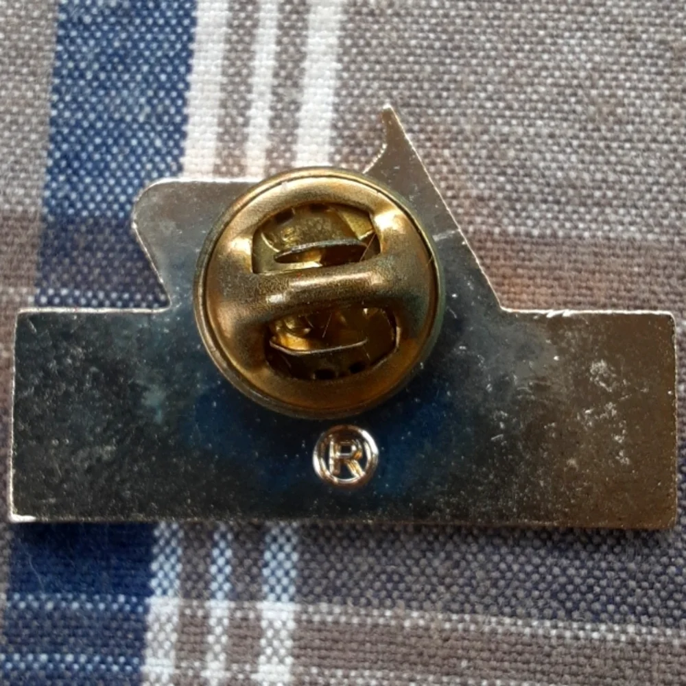 Lions Journey for Sight Pin